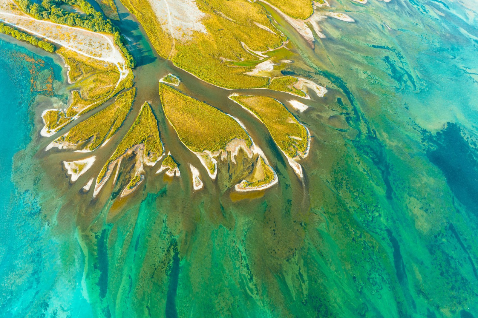 The Voice in the One-Way Street